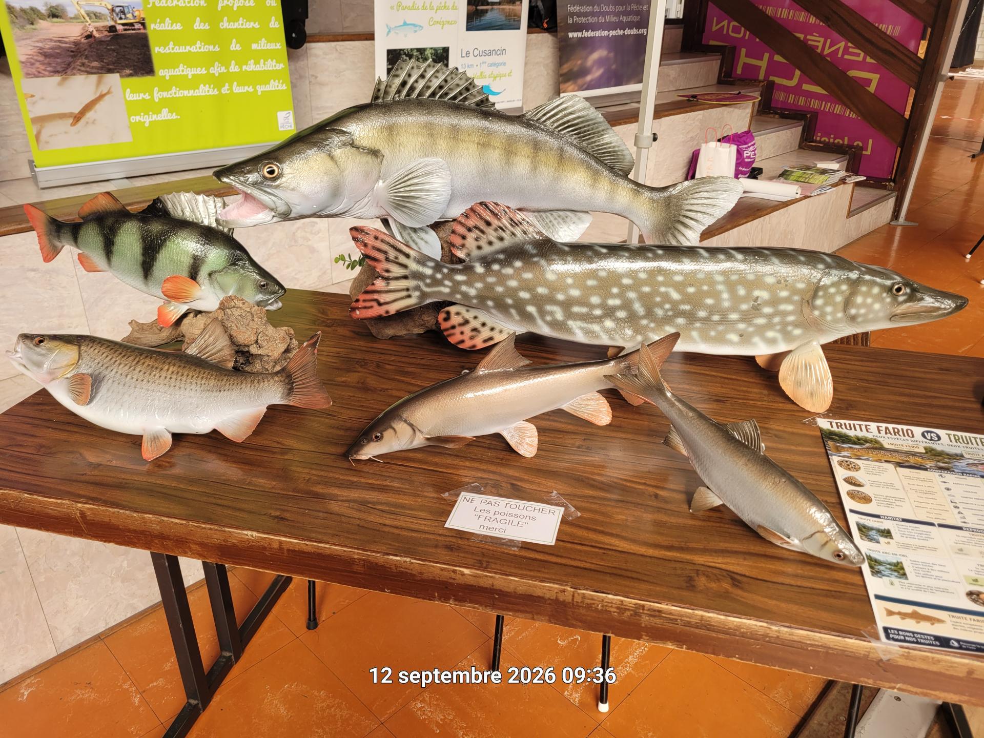 Stand 3