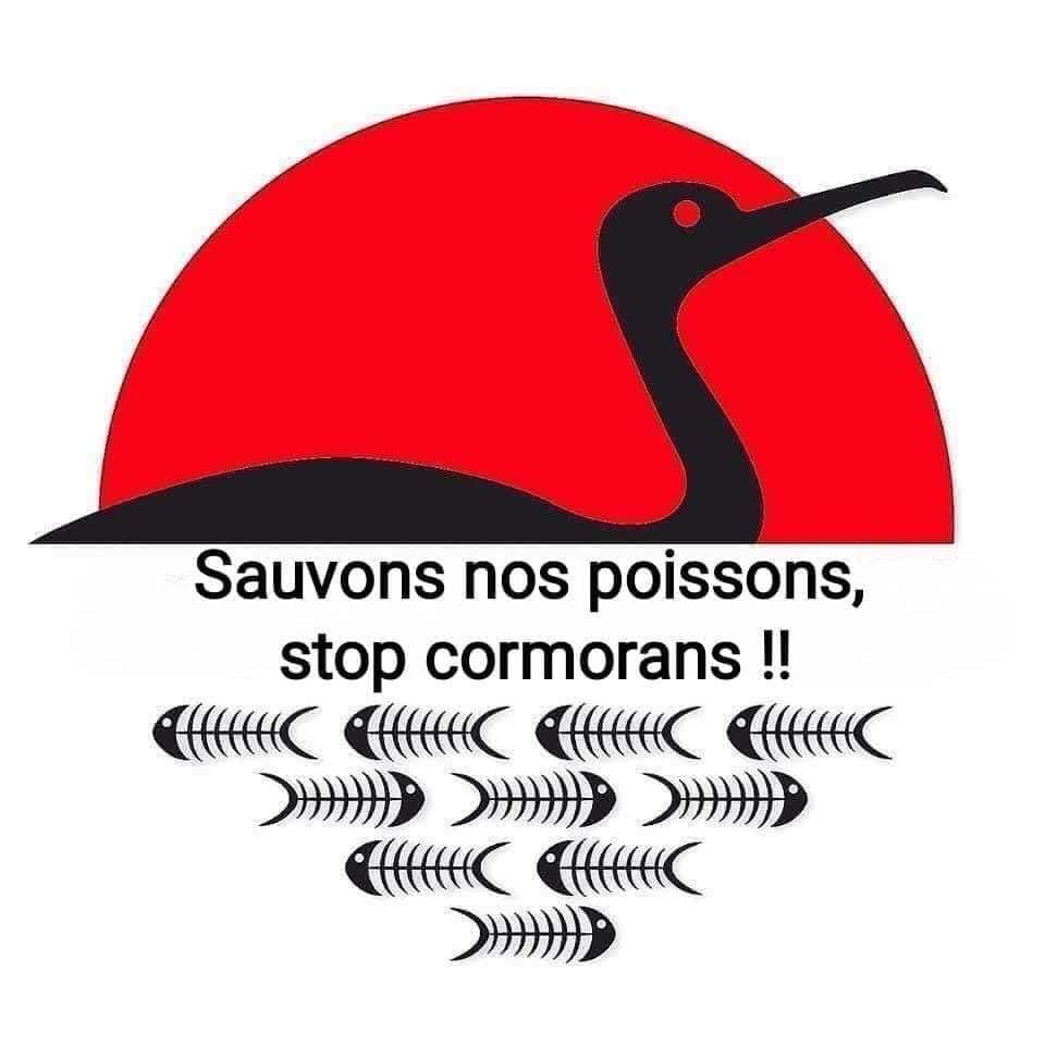 Stop cormorans